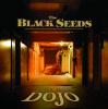 Into The Dojo - The Black Seeds