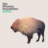 Buffalo - The Phoenix Foundation